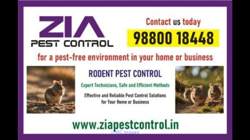 Rodent pest control near me | Bangalore pest control services | 7080
