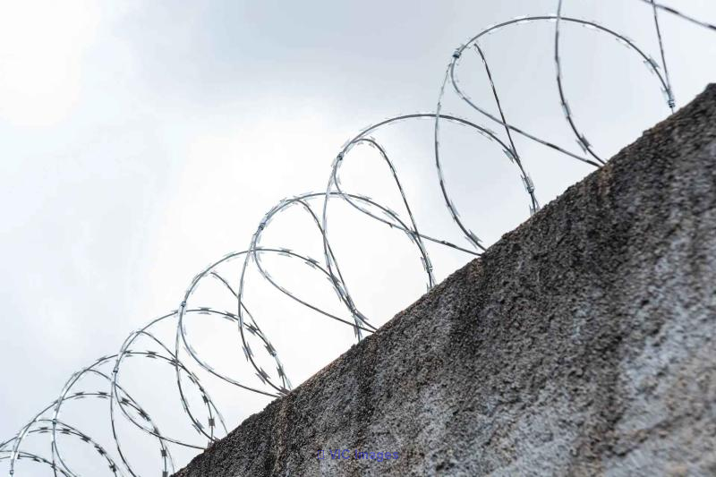 Concertina Coil Manufacturers in Delhi | Riddhi Wires