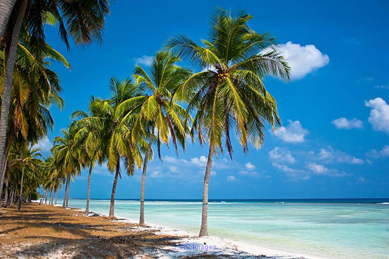 LAKSHADWEEP HONEYMOON TRIP