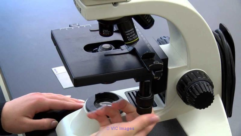 Top Microscope Manufacturer in India – Precision, Innovation 