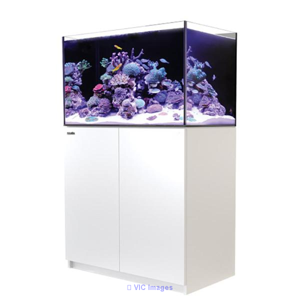 Salt Reef Tank Setup & Supplies – Build a Thriving Marine Aquarium