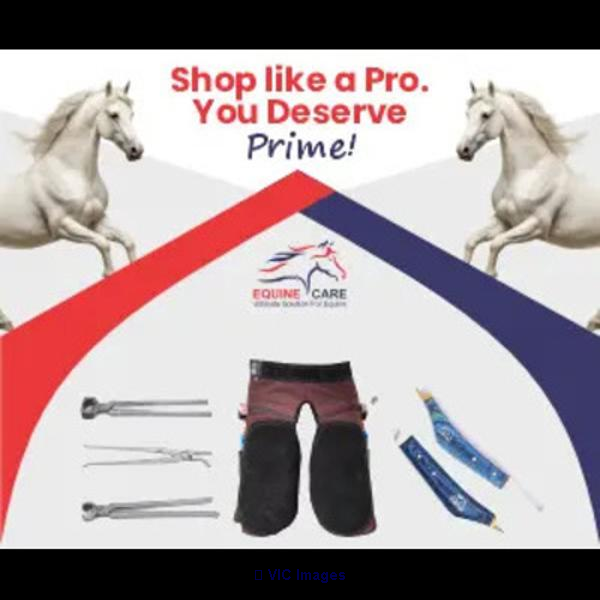 EquineCares – Trusted Farrier Supplies Online