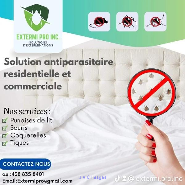 Servixes Extermination a Montréal 