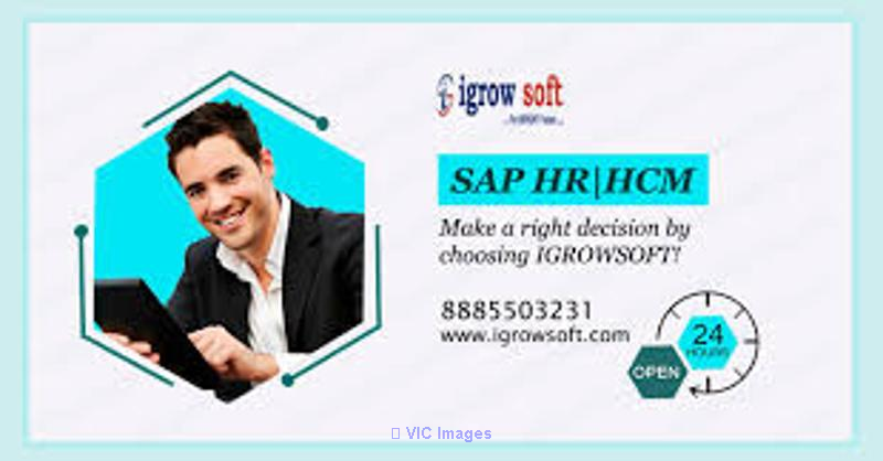 Best SAP HR HCM Online Training in Hyderabad | Igrowsoft