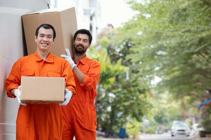 Top-Rated Furniture Delivery Service in Vancouver – Bold Mile