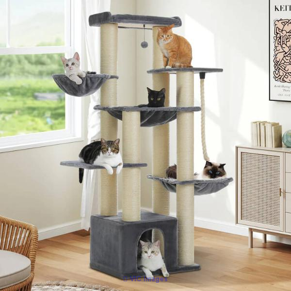Modern Cat Furniture for Stylish Homes | Canada