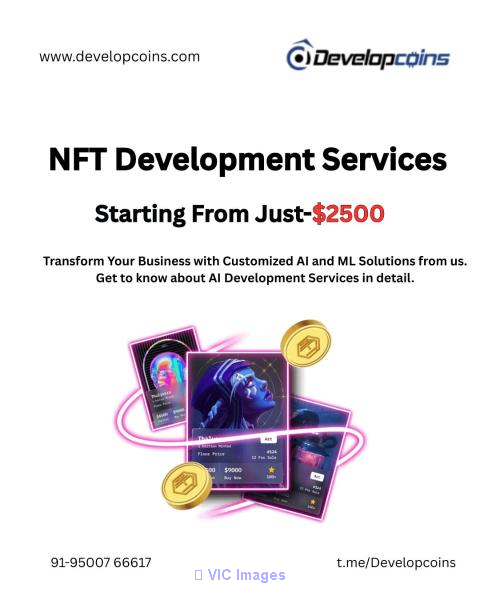 Looking to launch your own NFT platform or collection?