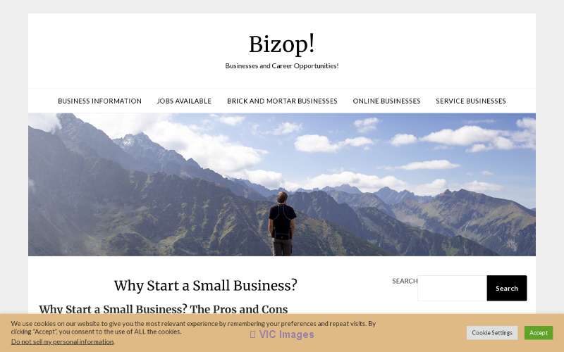 Bizop Businesses and Career Opportunities | Start & Grow Your Success