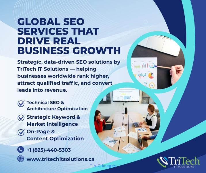 Enterprise-Grade SEO Services for Global Businesses:TriTechITSolutions