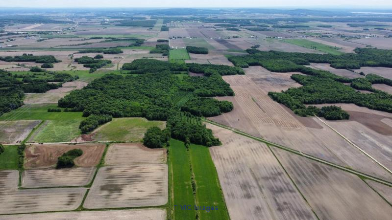 67-acre agricultural land for sale in Mirabel
