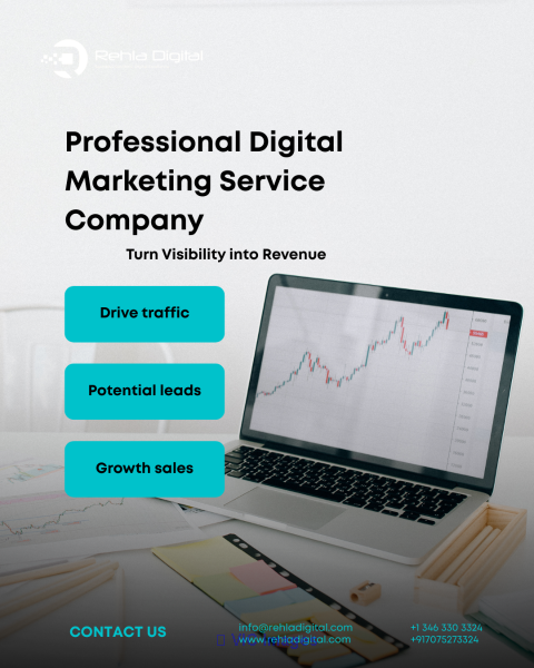 Professional Digital Marketing Service Company – Turn Visibility into 
