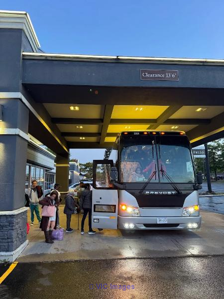 Professional Wedding Shuttle Service Toronto | Active Coach