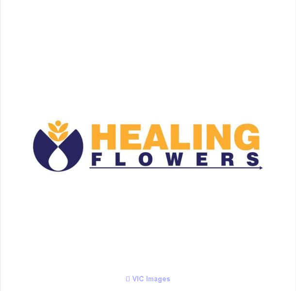 Professional Bach Flower Remedy Consultation – Healing Flower Life