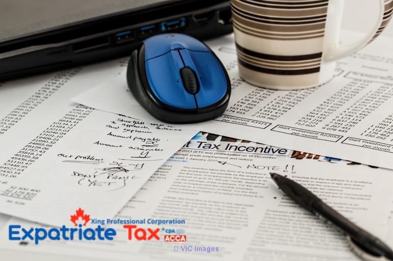 Reliable Tax Support for Growing Businesses in Canada