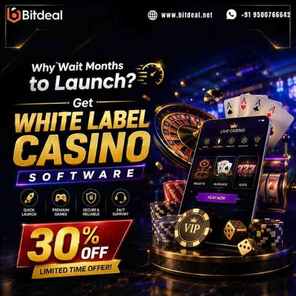 Why Wait Months to Launch? Get White Label Casino Software – 30% OFF