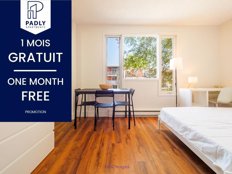 Furnished & Renovated Studio & 1 Br from $920 | All Inc!