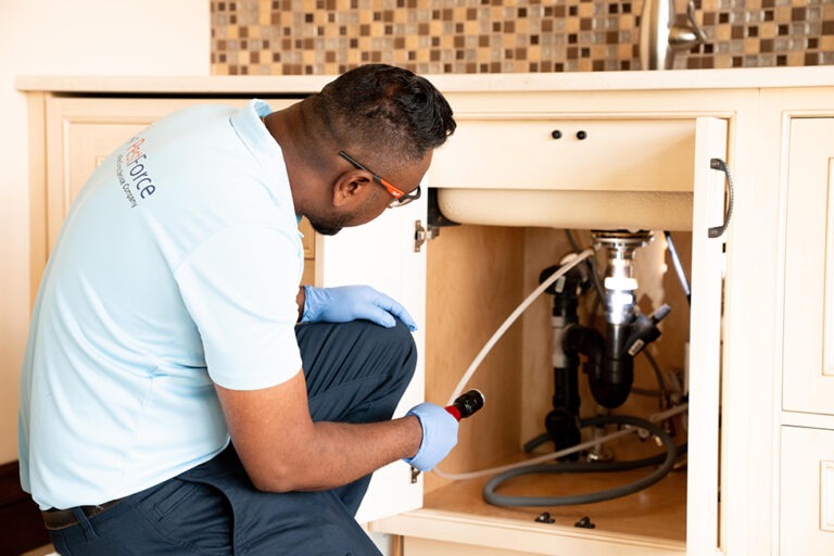 Pest Control Company Calgary for Homes & Businesses