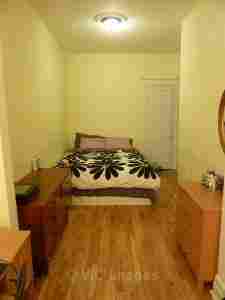 Bright and Cozy Apartment - Available for 1st of February - Photo 1