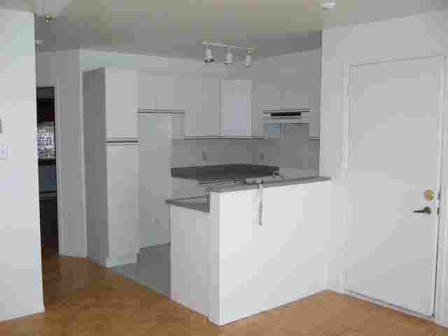 PLATEAU - 4 1/2 - METRO MONT-ROYAL (4155 St-Dominique) 1225$   Nouvelle construction Excellente location au cur du Plateau Mont Royal. Situé sur rue calme et propre. Très près de l`UQAM et McGill et  - Photo 1