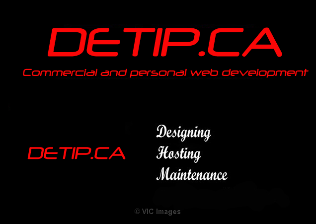 Need website? Detip will help you get your website online in 48 hours - Photo 1