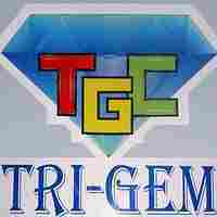TRI-GEM (Leading Outsourcing Company) - Photo 1