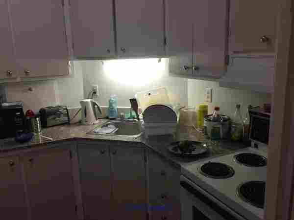 MAGNIFICENT SPACIOUS & BRIGHT APARTMENT IN THE HEART OF DOWNTOWN -$950 - Photo 3