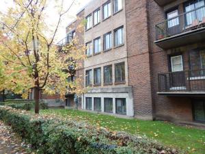$1200 / 3br - BEAUTIFUL SPACIOUS & RENOVATED 3-BEDROOM APARTMENT  - Photo 3