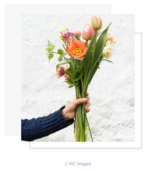 Best wholesale nurseries abbotsford Buy & Sell home & garden Montreal