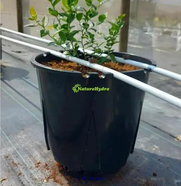 Plastic Berry Grow Pots Wholesale - Photo 2