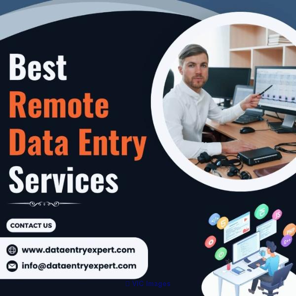 Best Remote Data Entry Services - Photo 1