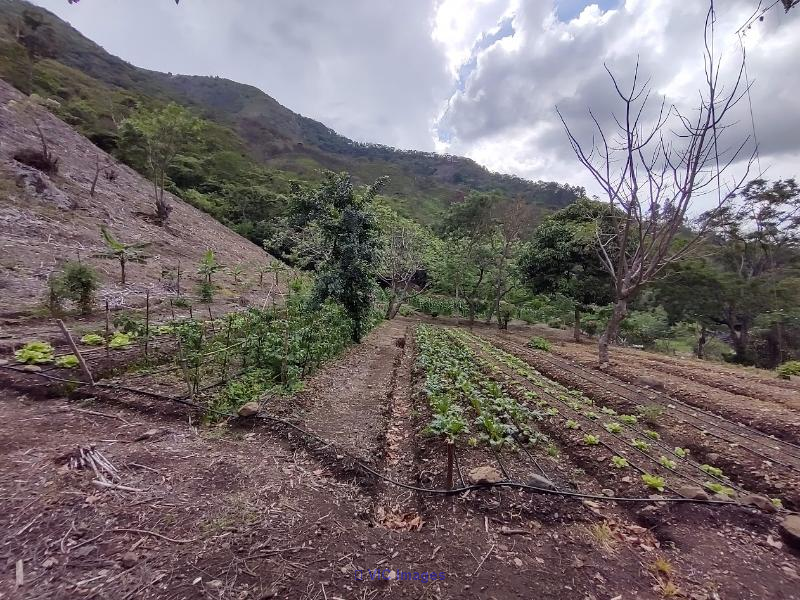 Massive Mountain Estate for sale. Salitral Santa Ana Costa Rica land. - Photo 3