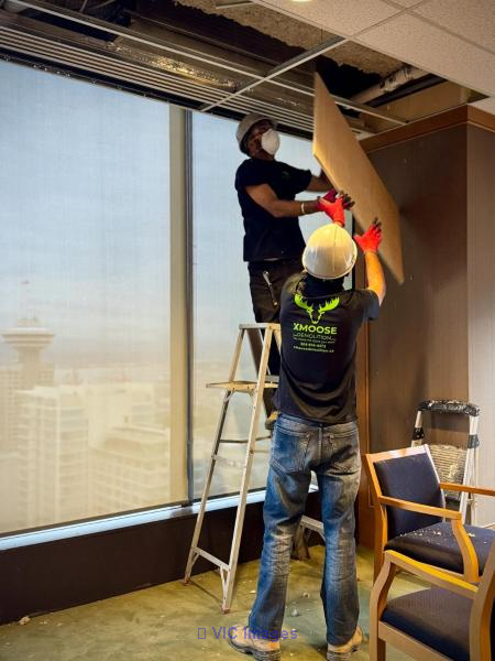 XMoose Demolition  Your Local Demolition Burnaby Specialists - Photo 2