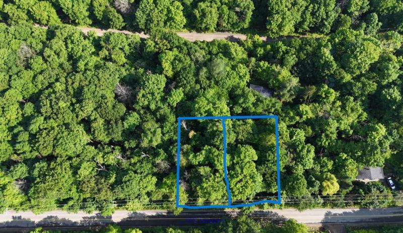BARGAIN: 2 lots for the price of 1  Laurentians - Photo 2