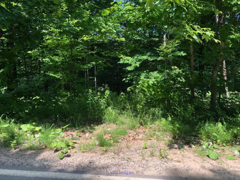 BARGAIN: 2 lots for the price of 1  Laurentians - Photo 3