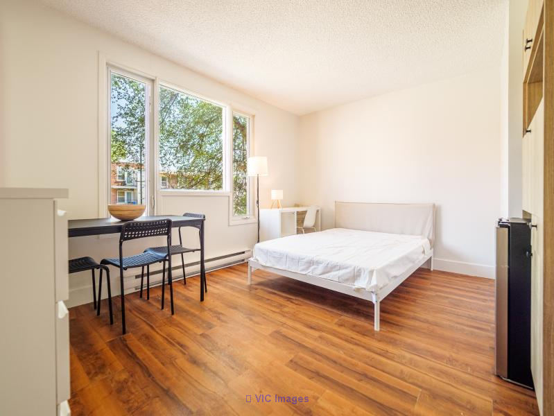 Furnished & Renovated Studio & 1 Br from $920 | All Inc! - Photo 2
