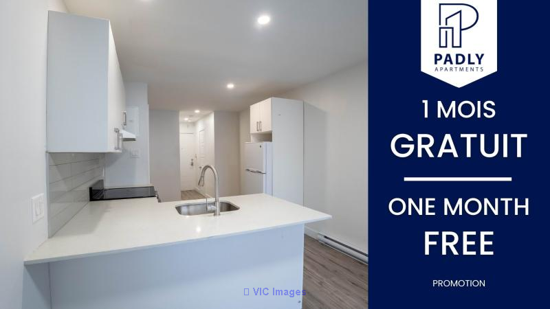 Modern Studios by Viau Metro  $940/Month - Photo 1