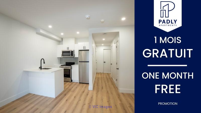 1 MONTH FREE! Renovated Studios  Immediate Occ.  HOMA - Photo 1