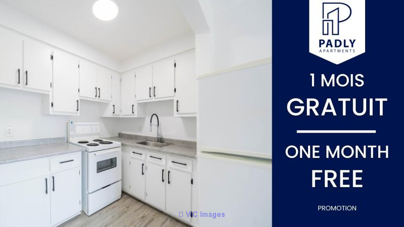 1 MONTH FREE  Modern & Affordable, Close to Everything in Anjou - Photo 1
