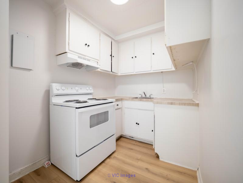 1 MONTH FREE  3 1/2 & 4 1/2 near UdeM, HEC, Jewish General Hospital - Photo 3